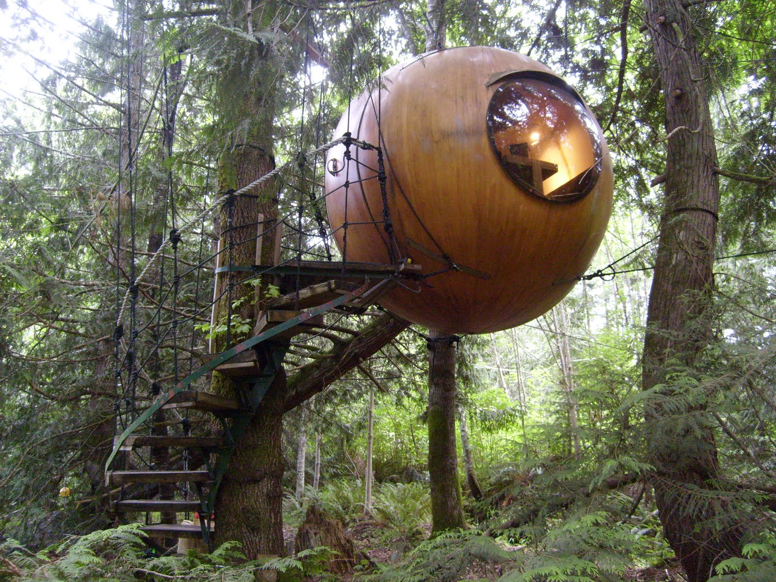 11 Most Amazing Tree Houses Around The World! Free Spirit Sphere