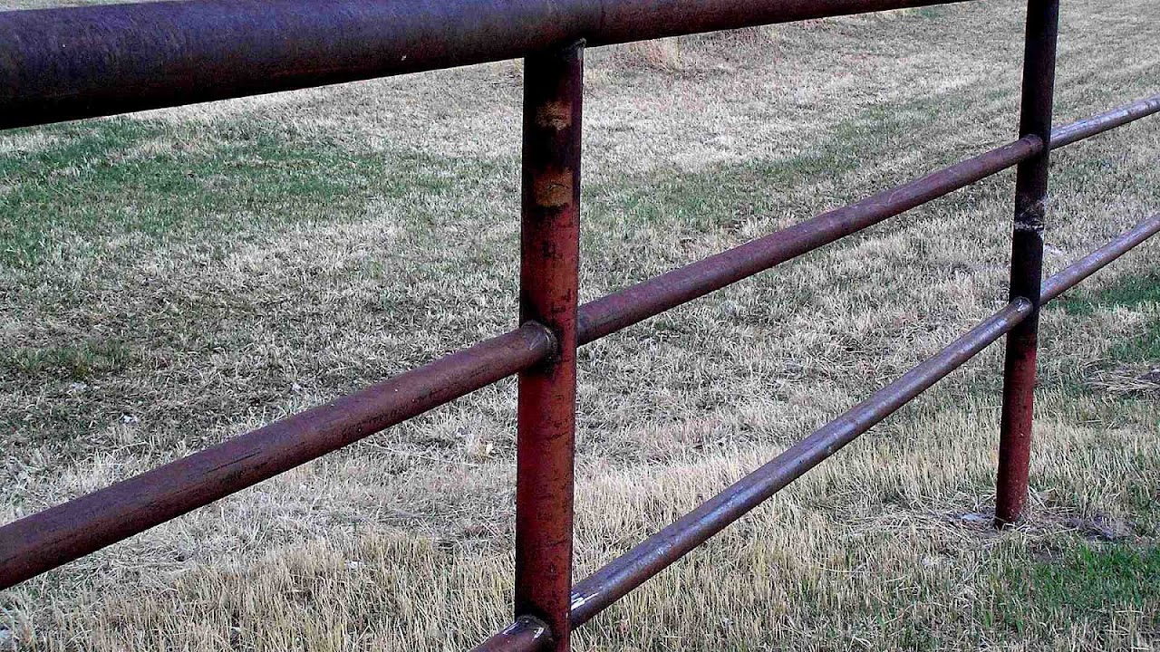 Metal Horse Fencing Horse Choices