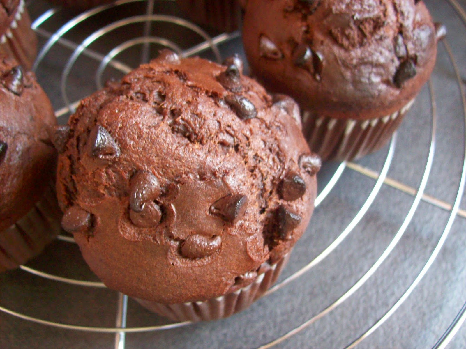 Les gourmandises de Jocelyne Muffin moelleux au chocolat sans gluten