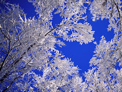 winter scenes desktop wallpapers posted scene snow scenery backgrounds pretty wonderland snowflakes ice snowflake views breathtaking awesome unknown colorado google
