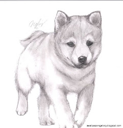 pencil drawings easy animal drawing puppy deviantart puppies
