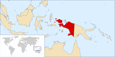 Logika Sesat NKRI: LSM Asing Mendukung Papua Merdeka?