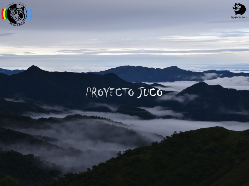 Expedición en Septiembre-Octubre 2018, en pos de los jaguares de altura y el oso más austral del mundo (o de como la investigación independiente debe ponderarse por sobre el corporativismo científico)