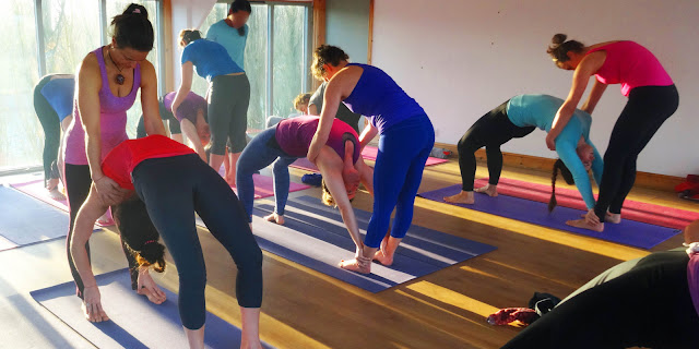 Truyền tải tình yêu Yoga của bạn cho người khác để nhận được ích lợi gì ?