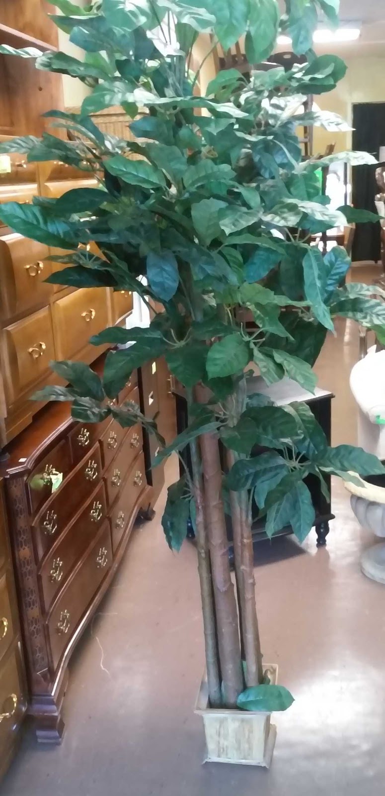 UHURU FURNITURE & COLLECTIBLES SOLD **REDUCED** 8' 9' Tall