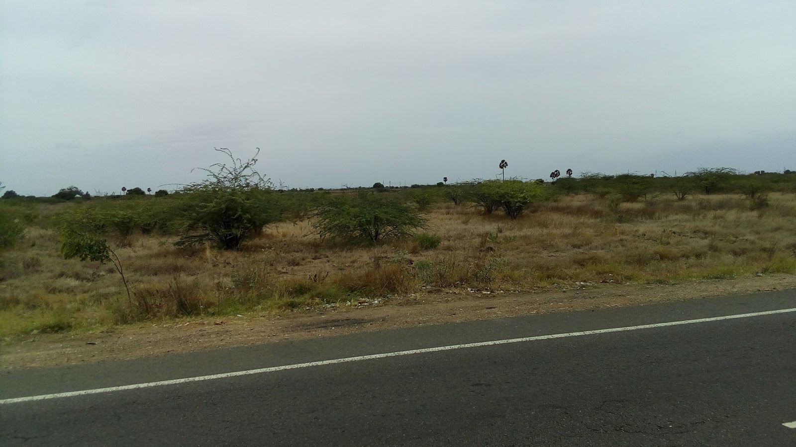 SRI BALAJI REALS 2000 Acre Land for Sale in NH 45B Tuticorin Tamilnadu