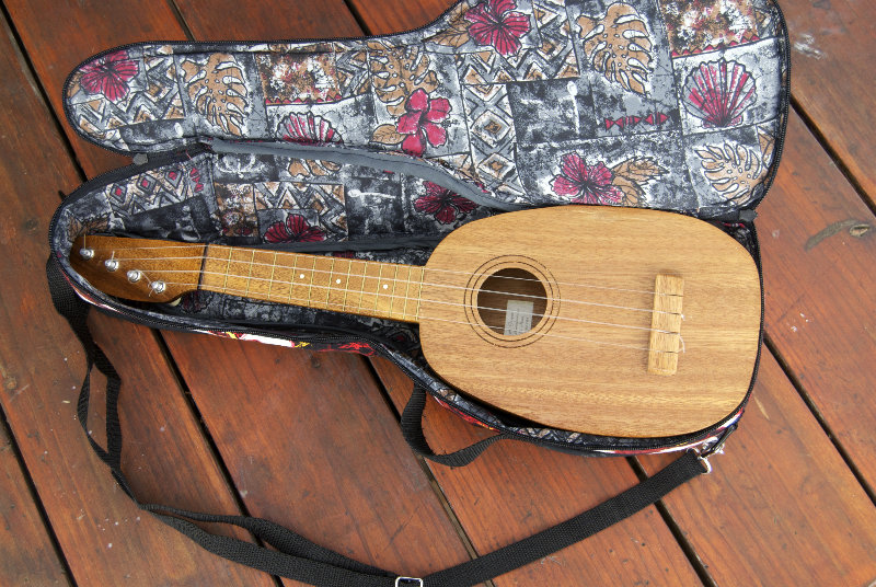 unschool plus ukulele bag 1