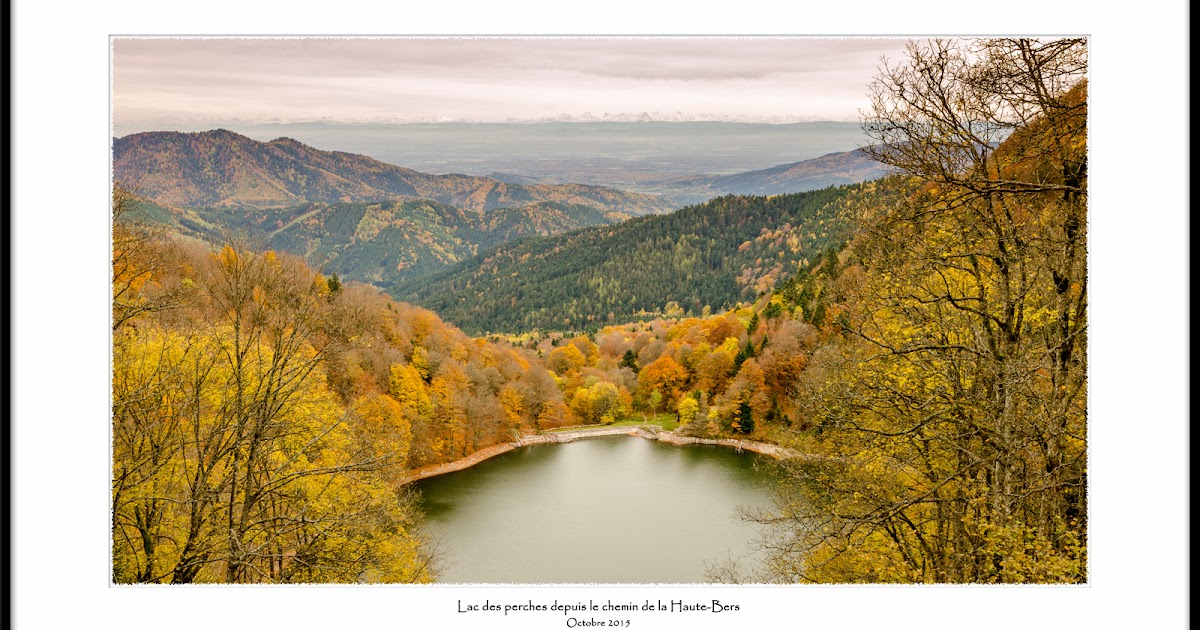 Observations Numériques: Paysage d'Automne