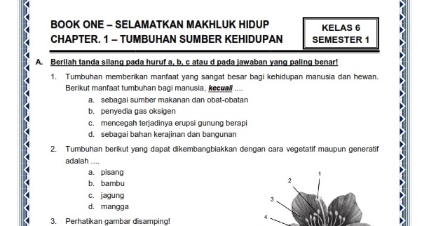 Soal Uts Ski Kelas 6 Kurtilas Guru Sekolah