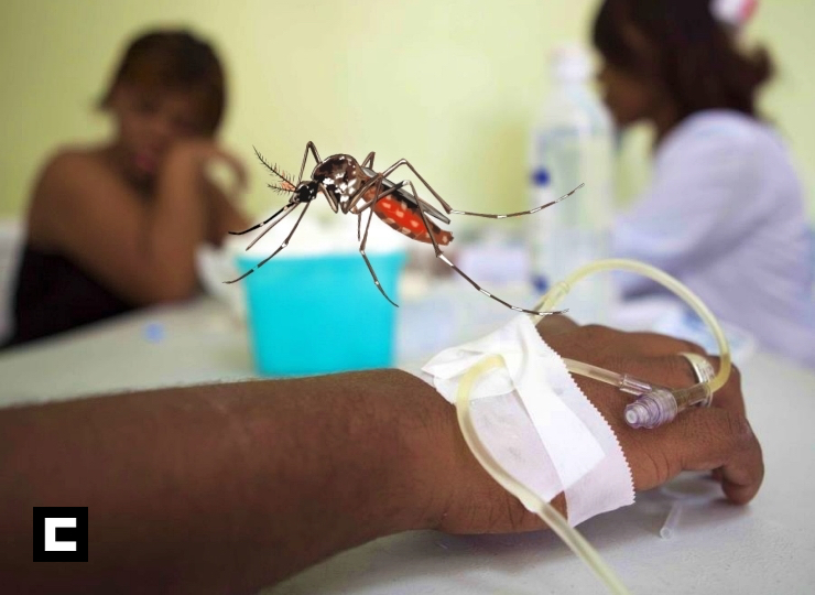 RD registra 12 muertos y 8,074 casos por dengue RD registra 12 muertos y 8,074 casos por dengue
