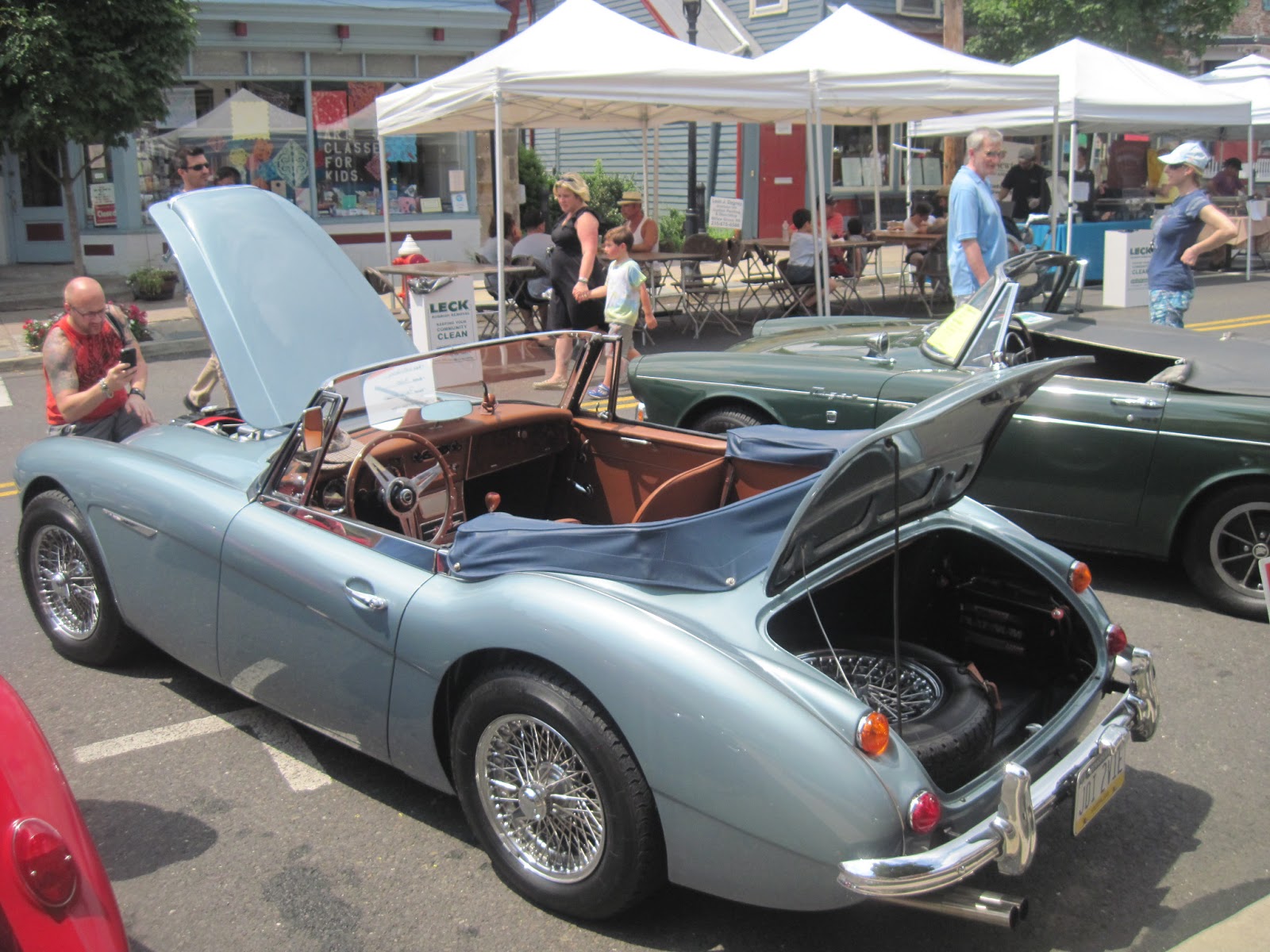 The Belle of Cowbell The Bipolar Therapist from Willow Grove, PA