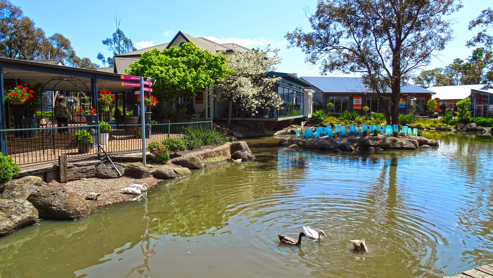 MAP AT RIVERS NURSERY