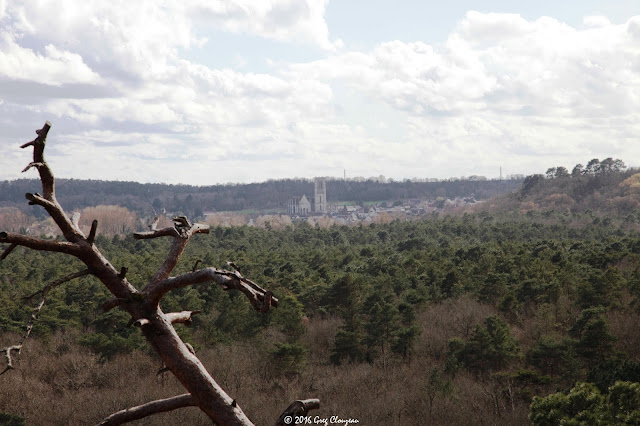 Vue sur Larchant depuis la platière de la Dame Jeanne Vue sur Larchant depuis la platière de la Dame Jeanne