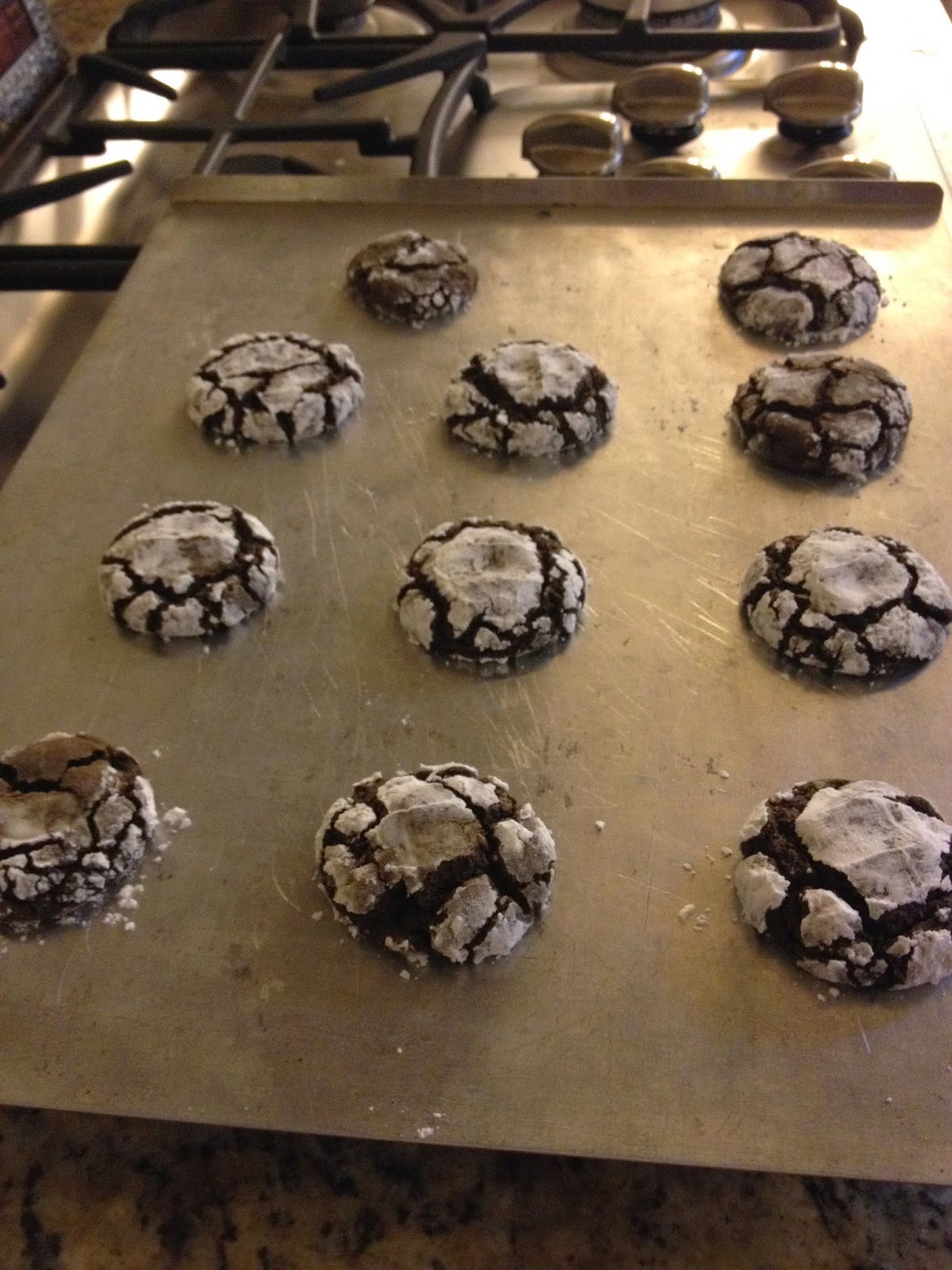 Gluten Free Chocolate Candy Cane Cookies Kristin Kotzebue