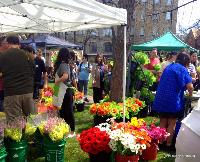 {Erin Out and About} To Market, To Market Toronto Flower Market 2016