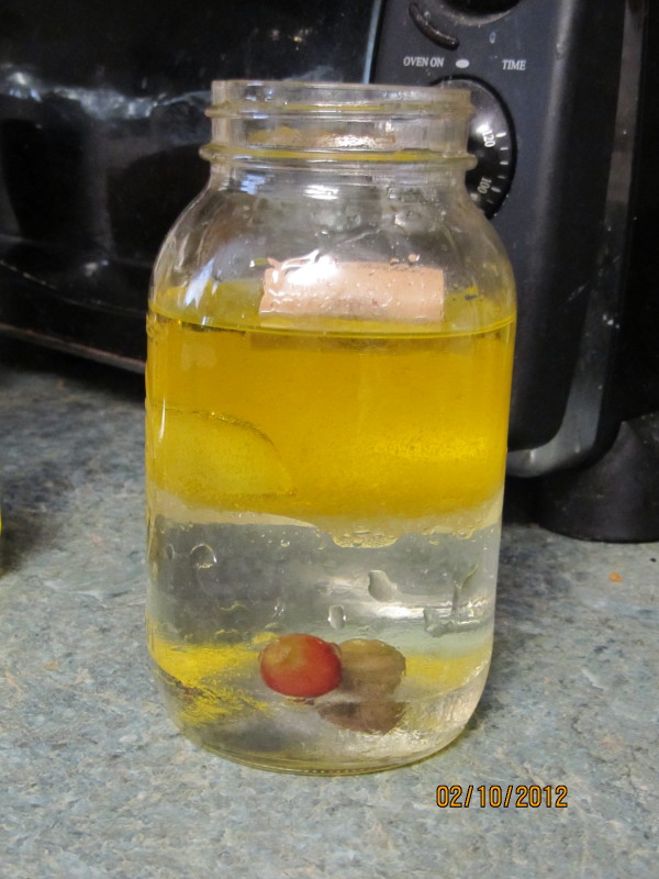 Laraba's Blog Exploring Creation Through General Science