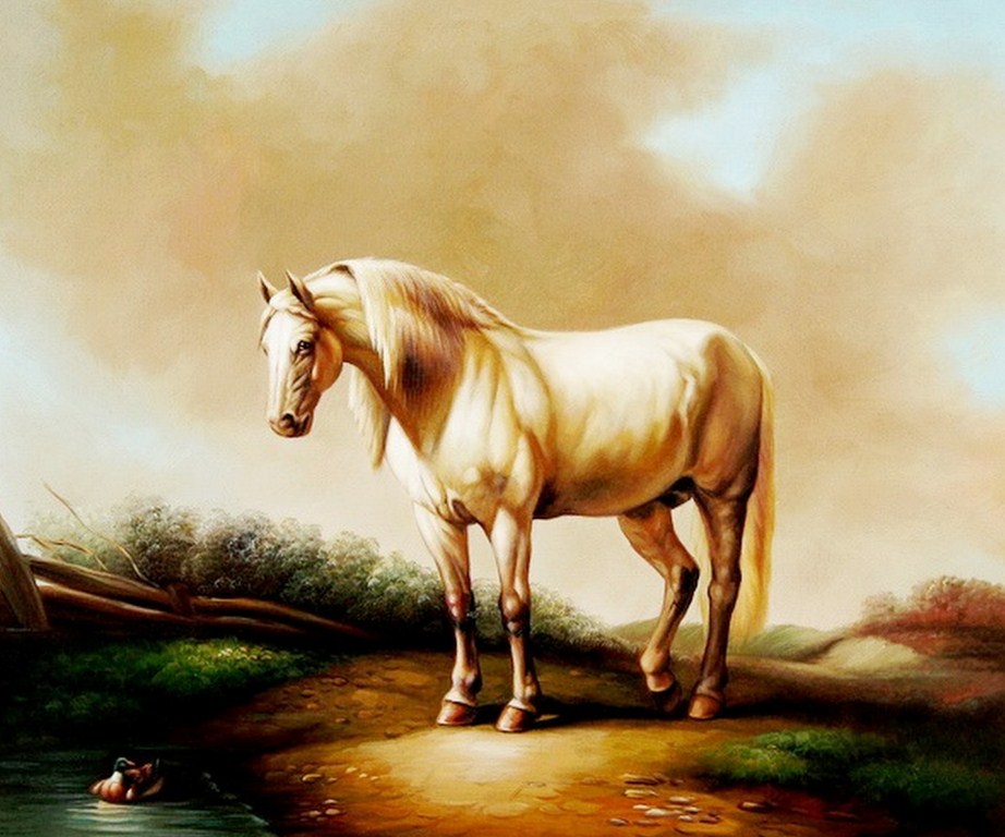 красивые рисунки лошадей карандашом. лошадь картина чистокровные. как научиться рисовать лошадь. арабская лошадь референс. отто эрельман.