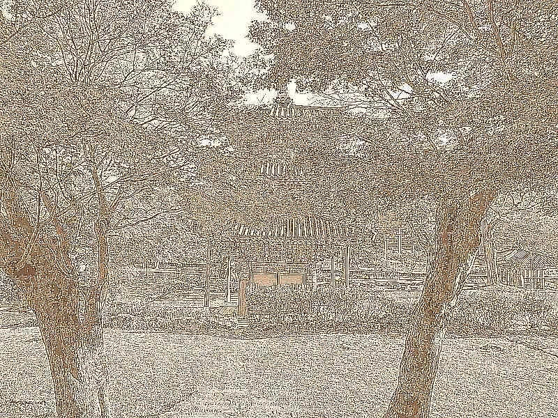 화순 계당산 쌍봉사 화순 계당산 쌍봉사