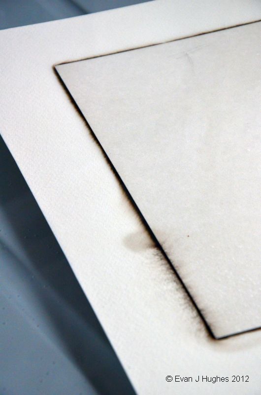 A Picture A Day Carbon Transfer Printing