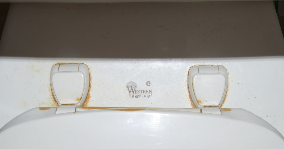 Doing My Best PSA How To Take Apart and Clean a Toilet Seat