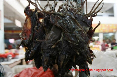 dendeng-daging-tikus