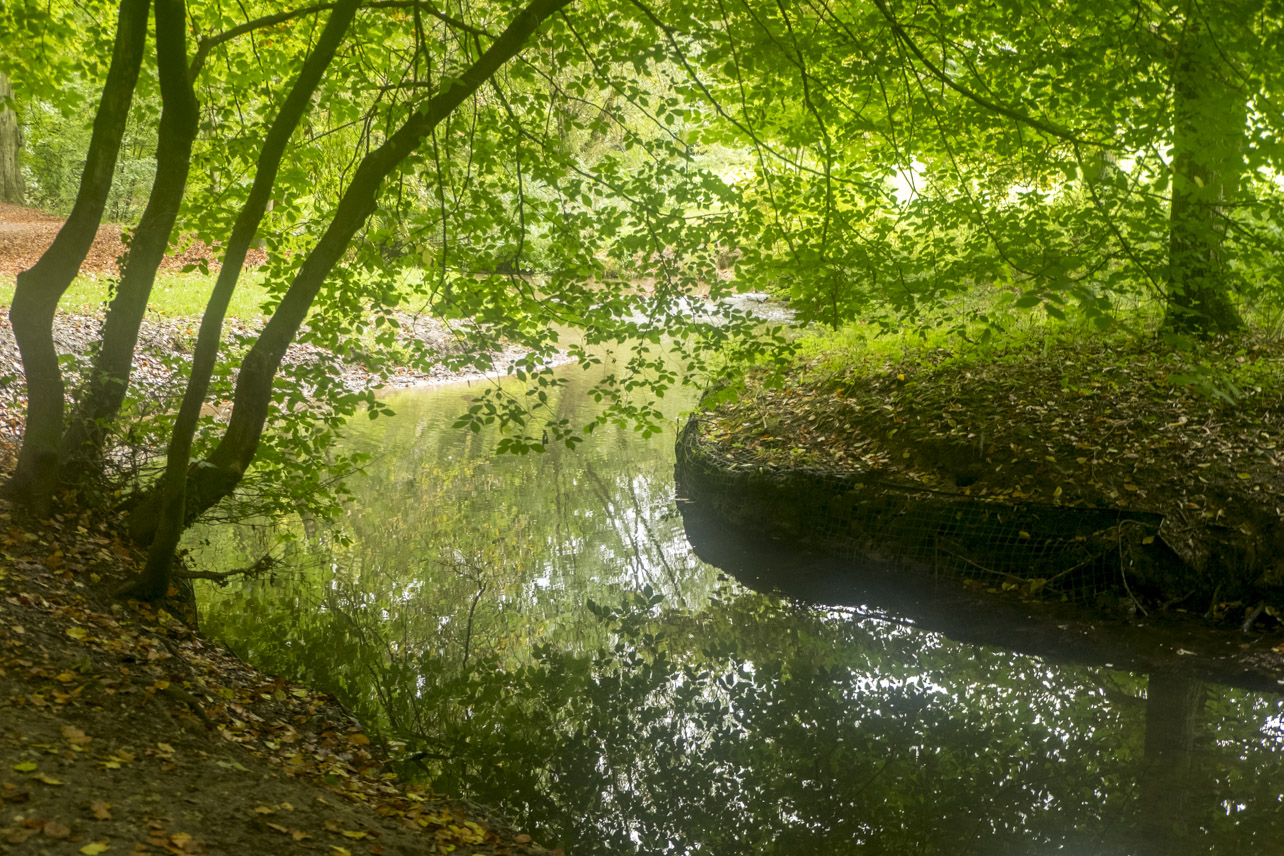Mike's Natural Musings A Walk in Hubbards Hills.