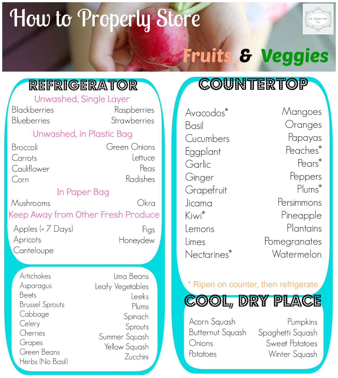 Storing Fruits And Vegetables - blog daisad mais