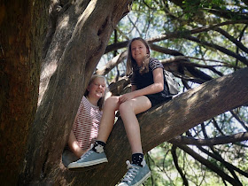 twin girls in a tree
