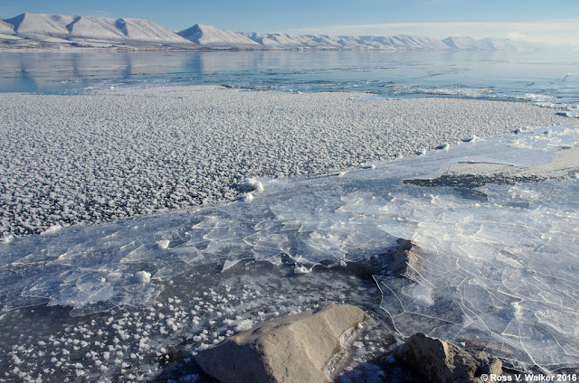 Ice on Bear Lake by Ross Walker
