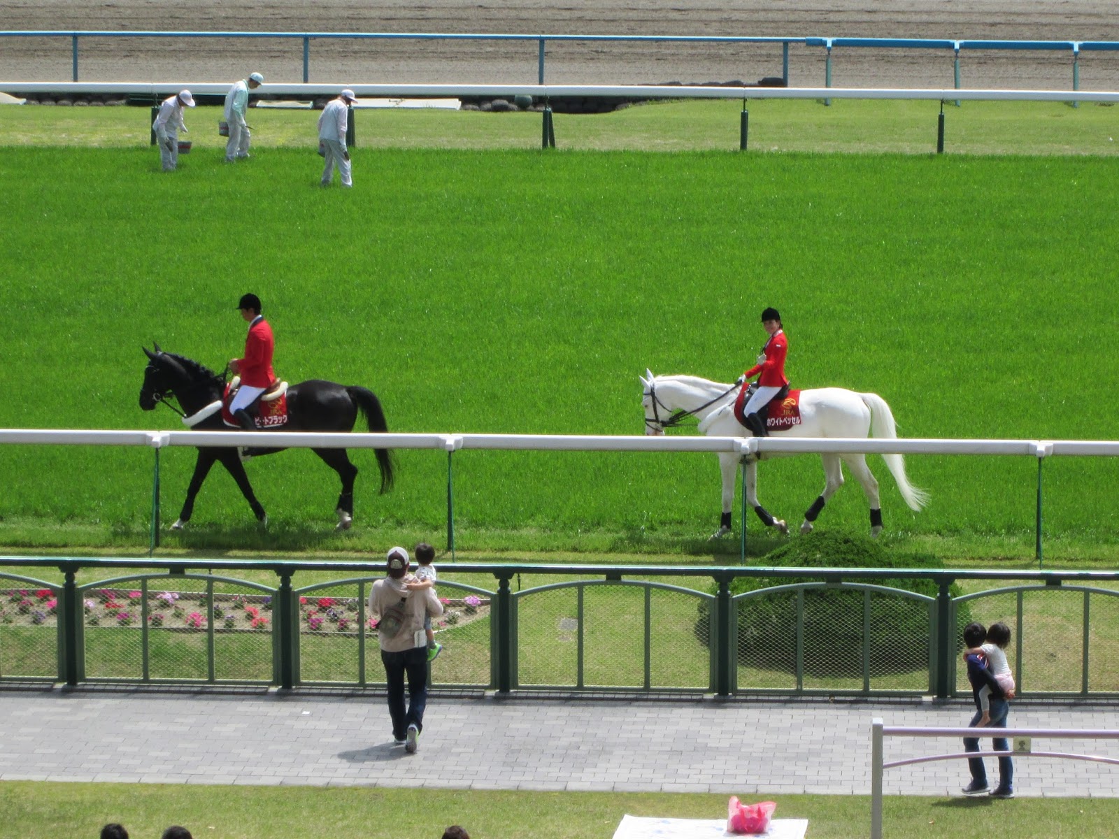 Gahou の旅行日記 京都 遊記 京都競馬場 駕 駕 賽馬初體驗