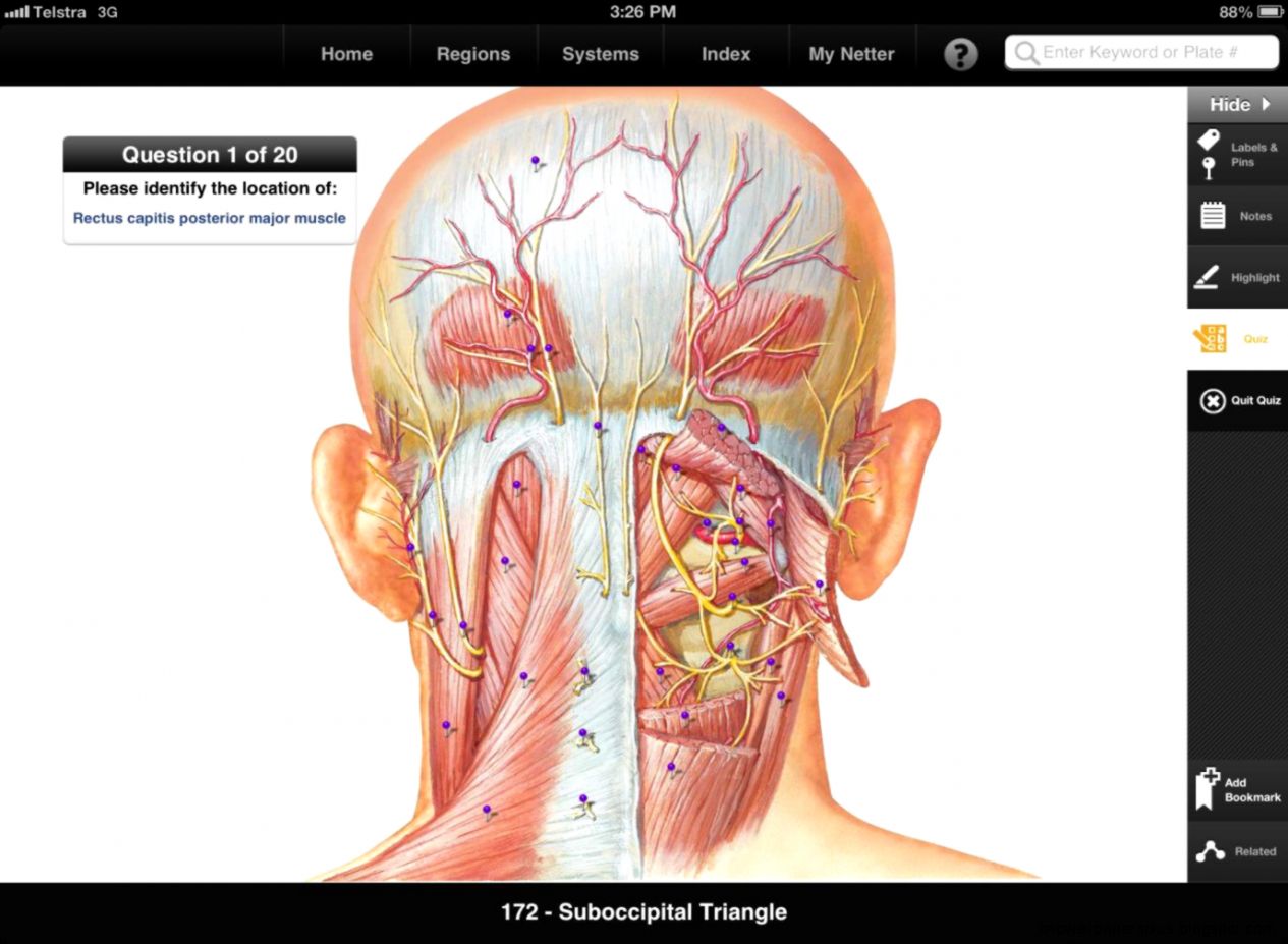 Elsevier iPad App Round up – Netter39s Anatomy OSCE39s in
