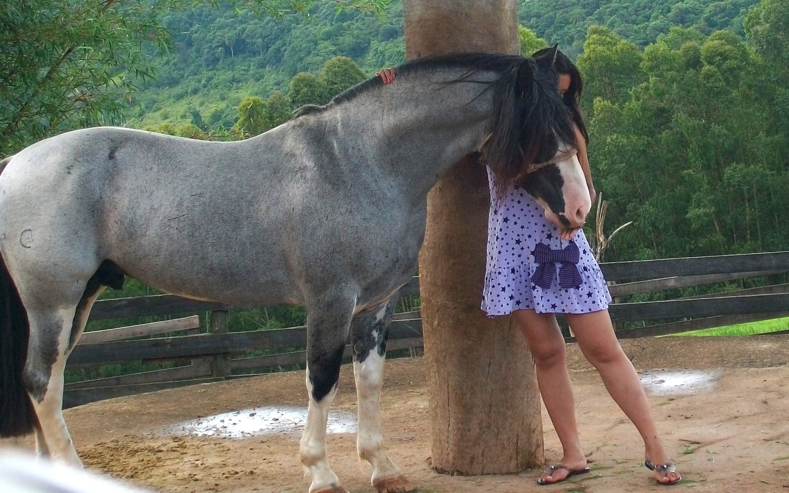 CABANHA LUZ DO SOL Manejando um