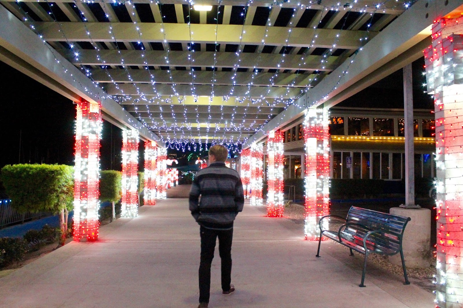 Harbor Christmas Lights