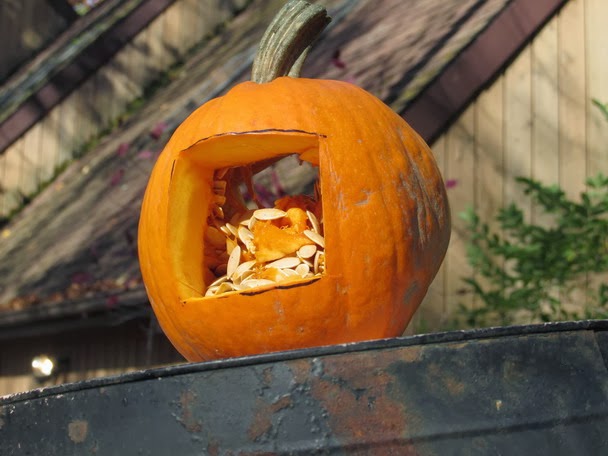 Grandma Pearl S Backporch How To Make A Mini Pumpkin Bird Feeder How To Make A Mini Pumpkin Bird Feeder
