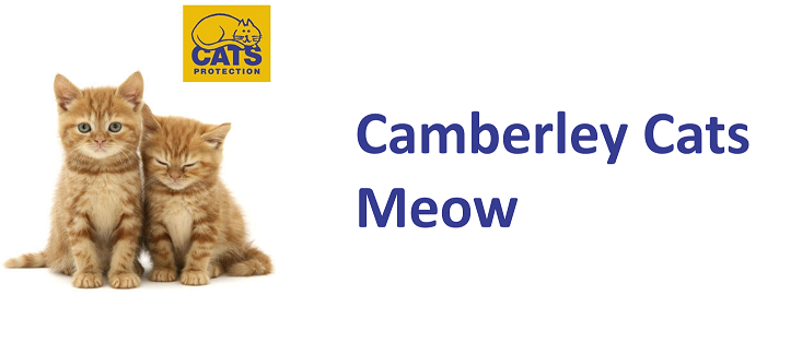 Camberley Cats Meow 