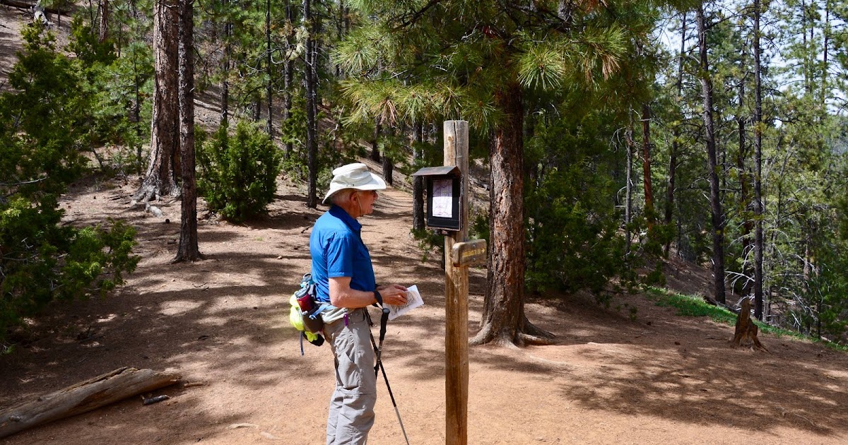 venturing4th Chamisa Trail