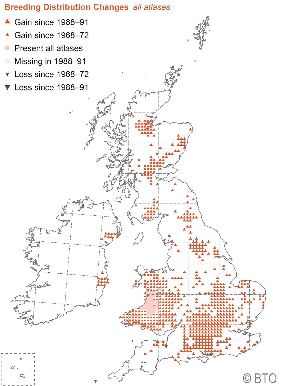TrogTrogBlog Bird of the week Red kite