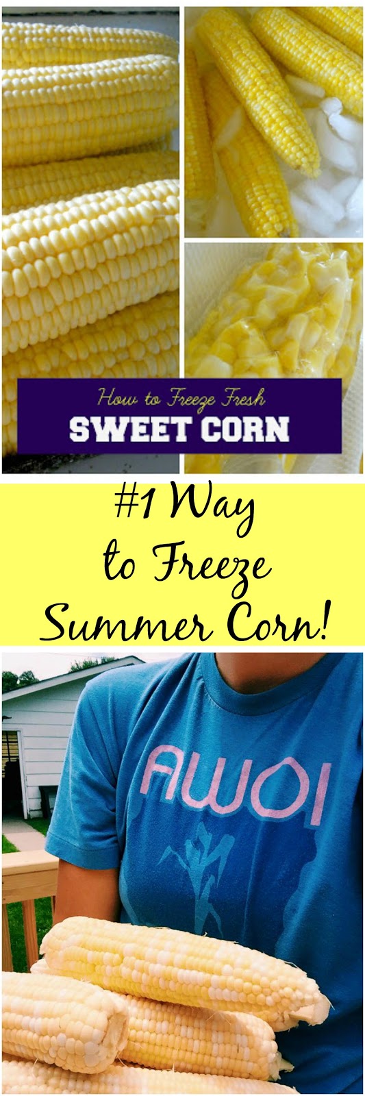 how to freeze fresh sweet corn (sweetandsavoryfood.com)