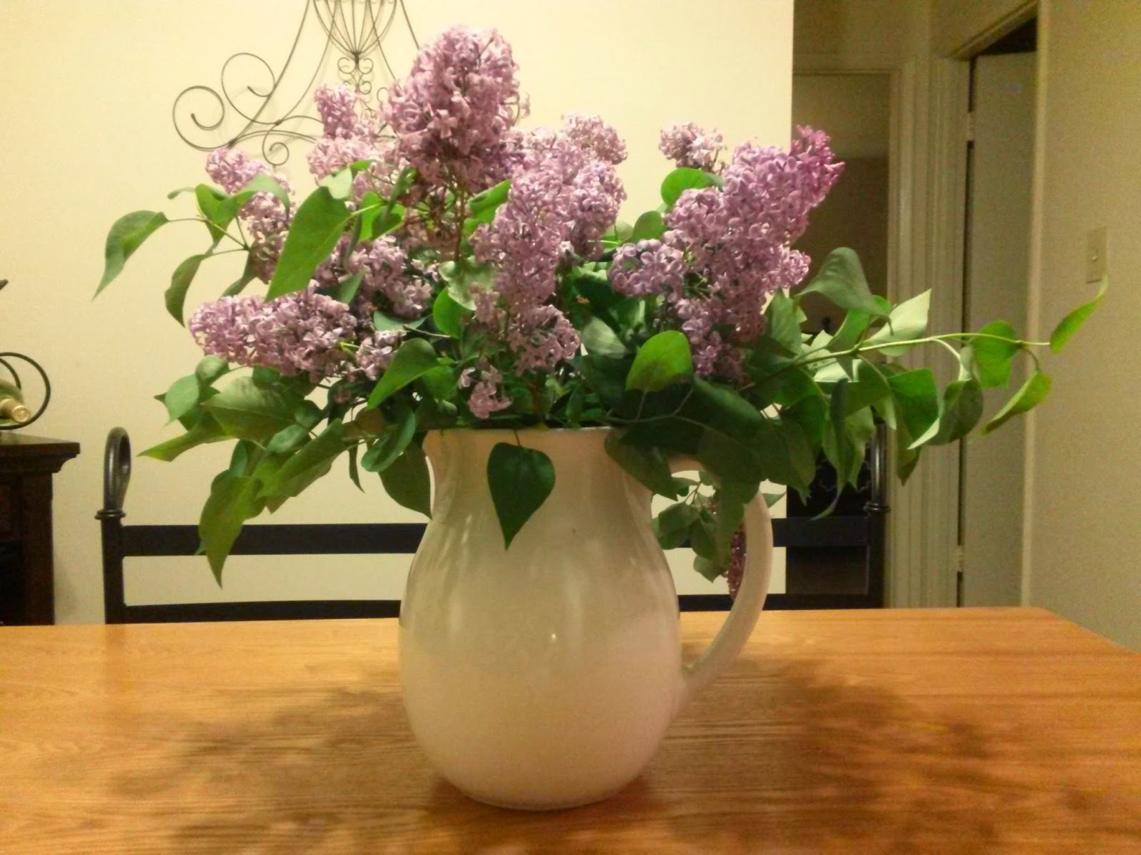 Karen S Nature Photography Pink Lilac Bush
