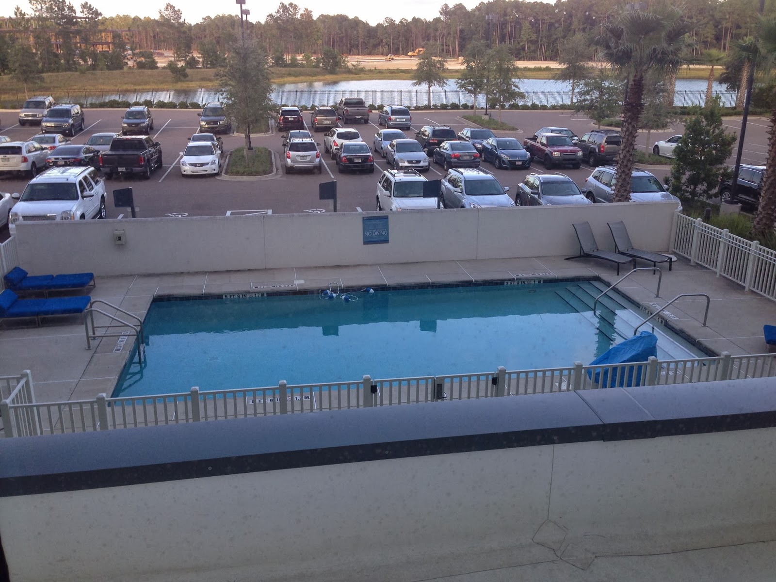 Brew at the Jacksonville Zoo The Path To Riches