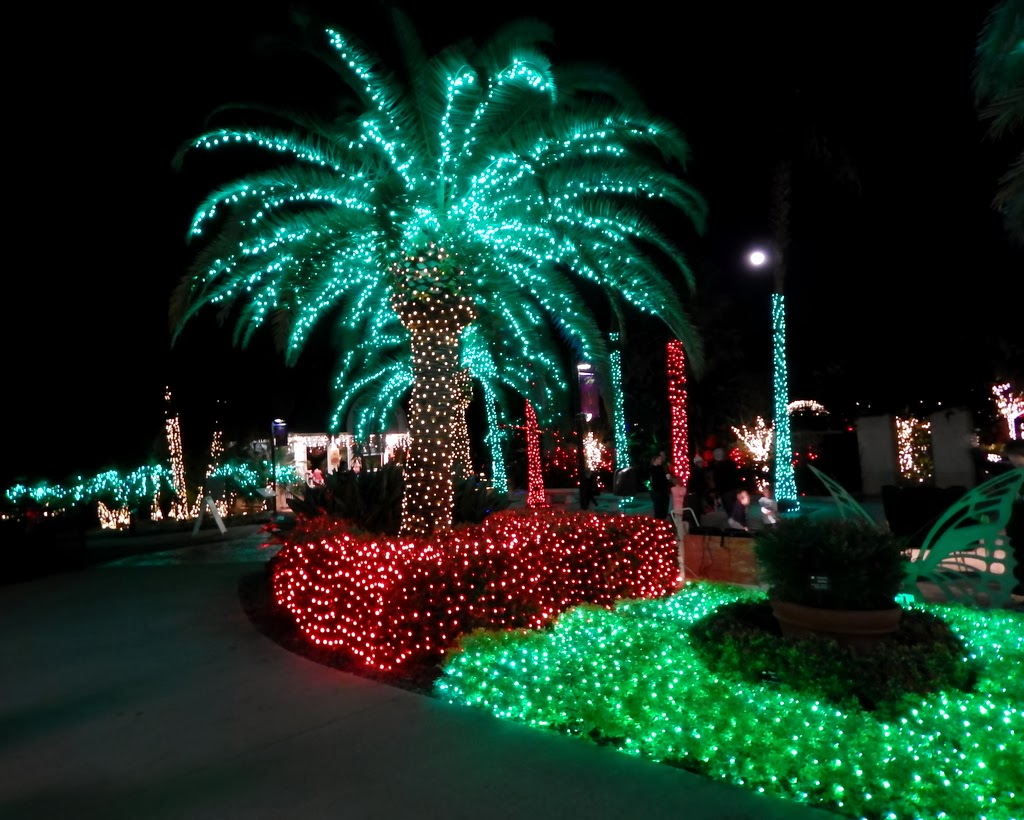 Swedish Gals Attic A Galaxy of Holiday LIghts in Largo, Florida