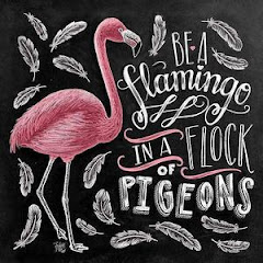 Be YOUR OWN Flamingo in a flock of Pigeons
