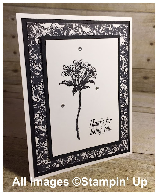 Faithful INKspirations: Avant Garden in Black & Vanilla