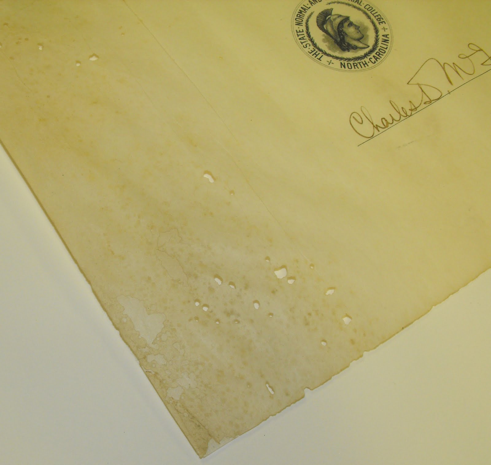 Speaking Volumes Treatment of a vellum diploma