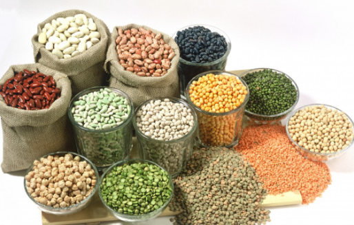 Makalah Nisab Zakat Biji Bijian Menurut Mazhab Syafi I Syafiiyah Portal Edukasi