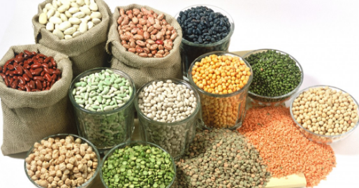 Makalah Nisab Zakat Biji Bijian Menurut Mazhab Syafi I Syafiiyah Portal Edukasi