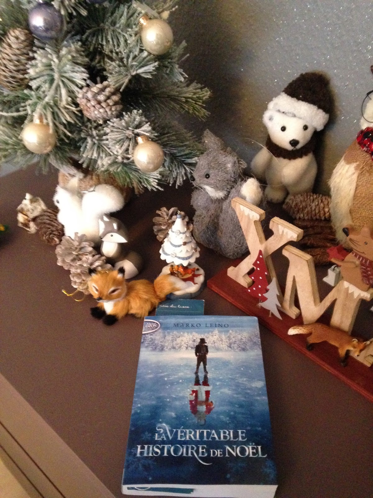 Les livres de Noémie: La Véritable Histoire de Noël