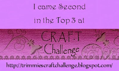 I WAS IN THE TOP 3 at TRIMMIES CRAFT CHALLENGE.