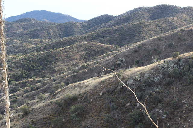 Guided%2BCoues%2BDeer%2BHunts%2Bin%2BSonora%2BMexico%2Bwith%2BJay%2BScott%2Band%2BDarr%2BColburn%2BDIY%2Band%2BFully%2BOutfitted%2B34.JPG