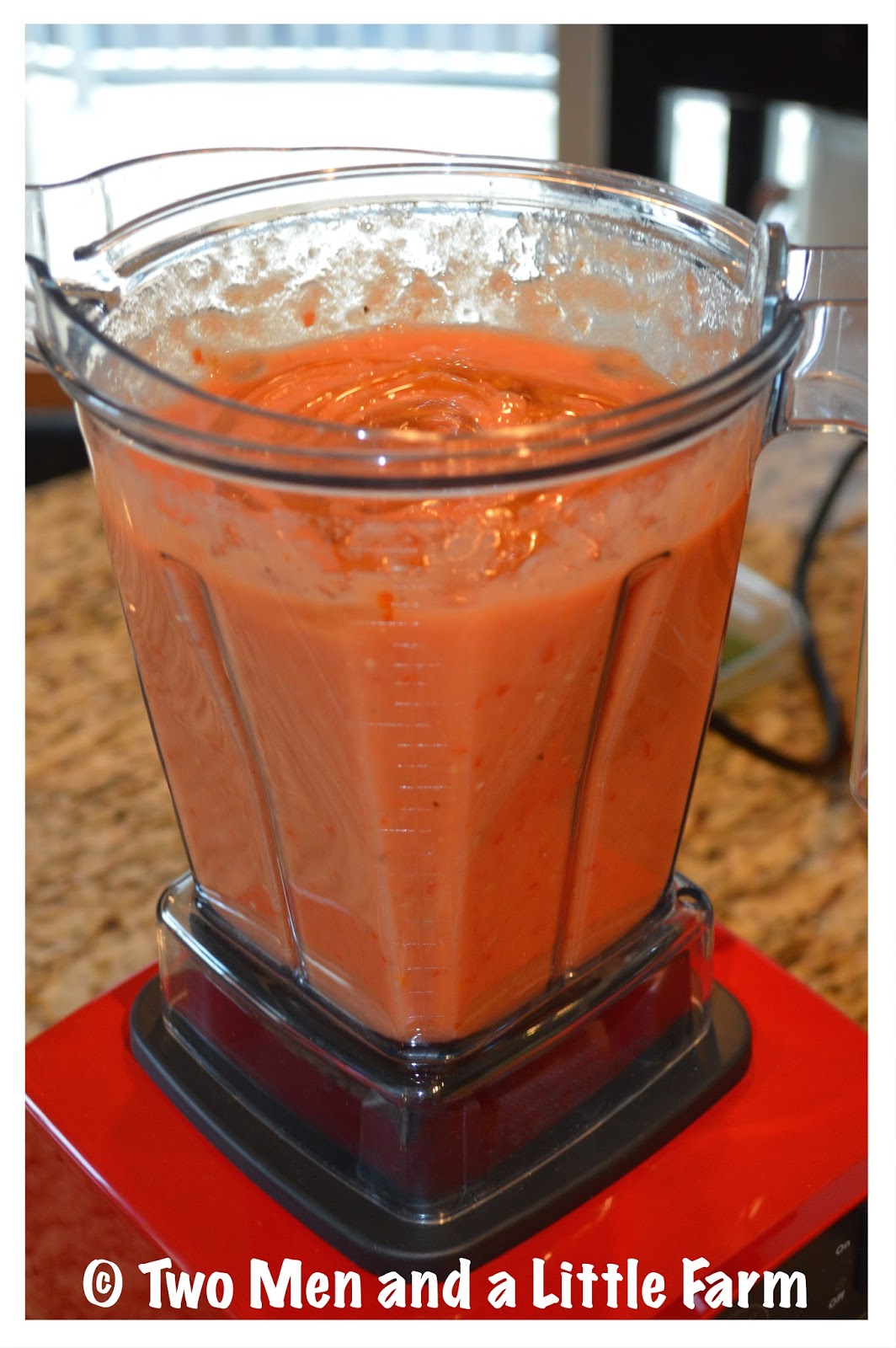 Two Men and a Little Farm FRESH TOMATO BASIL SOUP IN THE VITAMIX